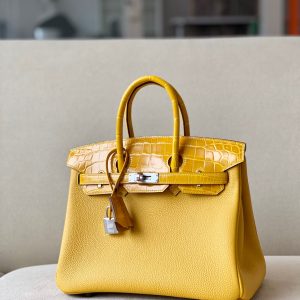 Hermes Advanced customization Birkin 25 crocodile skin
