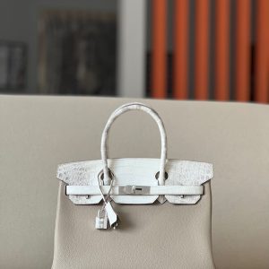 Hermes Birkin 30 TOGO crocodile skin